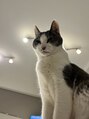 グイット 上大岡西口店(Goo-it!)&nbsp;生後間もない頃拾いミルクから育てマザコンBOYに仕上がりました