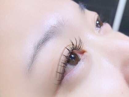 ブルーム(BLOOM)の写真