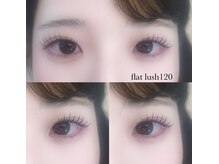 アイリー(Eyelie)/フラットラッシュ120本