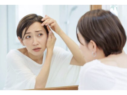 ベラ(VERA)の写真