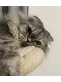 ミエル 鍛冶屋町(miel)&nbsp;猫ちゃんが大好きです！お家で1匹飼っています♪