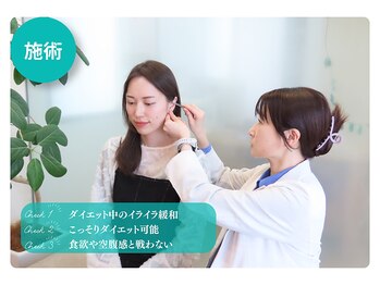 新潟美人研究所/【5】耳ツボ施術