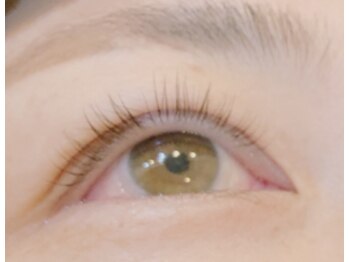 レボアイラッシュ 茅ヶ崎(rebo eyelash)/上まつ毛ラッシュリフト