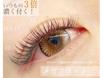 スクリーン(SCREEN)