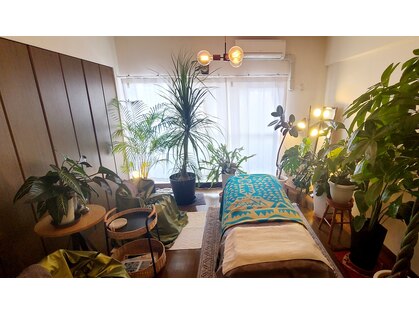 パンダママ(PandaMama)の写真