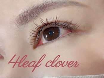 フォーリーフクローバー(4 Leaf Clover)/LED 片目80本　ブラウン