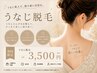 【後ろ姿を美しく♪】うなじ脱毛