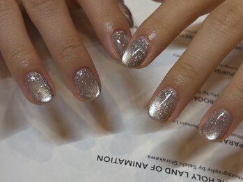 Luminous magnet コース