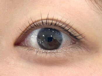 シピー(chipie by anon)/ATSUKO◆まつ毛パーマ