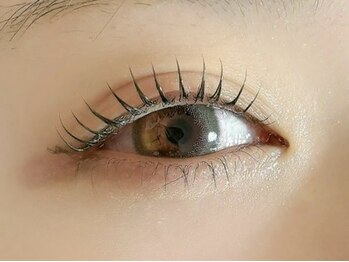 リファーレ 代々木(RIFARE)/立ち上げカール☆代々木まつパ