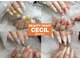 セシル(CECIL)の写真