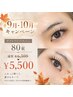 【9月、10月限定】ダブルフラットラッシュ80束☆通常￥6500→￥5500