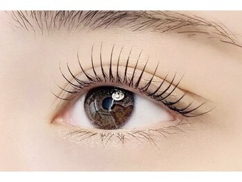 コライユ 大和八木(colail)/根本から立ち上げ♪