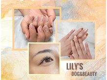 リリーズドッグアンドビューティー(Lily's Dog&Beauty)