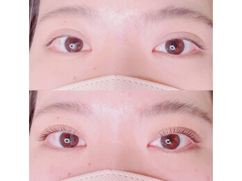 シピリカ(Shiprica.)/