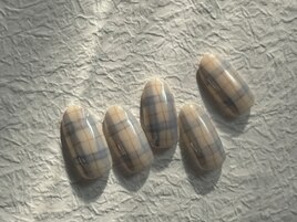 トレンドコース