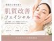 ソラナ(solana)の写真