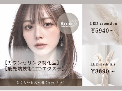 コア(Koa)の写真
