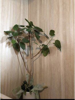 くまがい整体院 若松店/店内な雰囲気