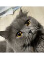 サロン デ ヤンス(SALON DE YANSU) 我が家の長女猫ちゃん♪