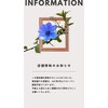 ラッシュ(LASH)のお店ロゴ
