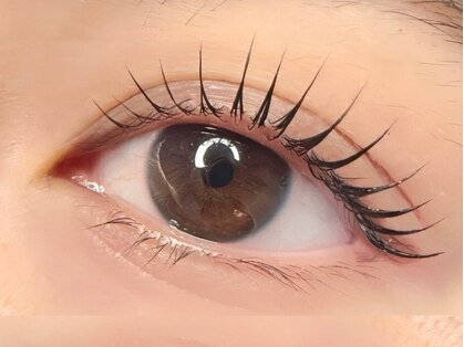 From u.【5月上旬OPEN(予定)】の写真