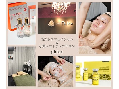 フロックス(Phlox)の写真