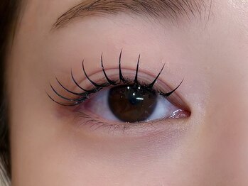 ソファー 吉祥寺(sofa)/フラットラッシュ120本 [吉祥寺]