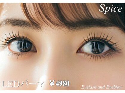 スパイス 梅田茶屋町店(Spice)の写真