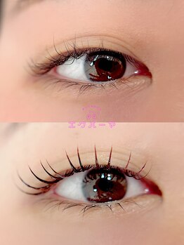 ベルアイラッシュ(Belleyelash)/【エクパーマ】瑞江/まつげ