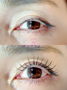 ベルアイラッシュ(Belleyelash)/【エクパーマ】瑞江/まつげ