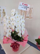 整体院スリーバランス 志布志院/