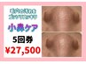 【小鼻ケア】ゴッソリ根元から　5回券　《通常¥38,500》