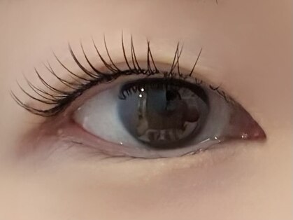 トトルナ(totoluna)の写真