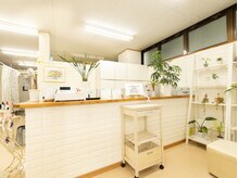 ボディメンテナンスの雰囲気（植物に囲まれた空間◎）