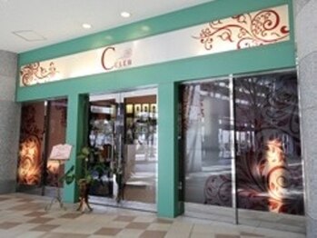 セレブ デトックス(CELEB)/サロンの様子