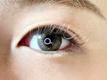 椛(momiji)/Wフラットラッシュ100束