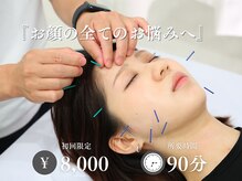 アロエ鍼灸整体院/お顔の全てのお悩みに
