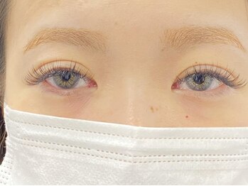 リーベ(Liebe)/フラットラッシュ180本