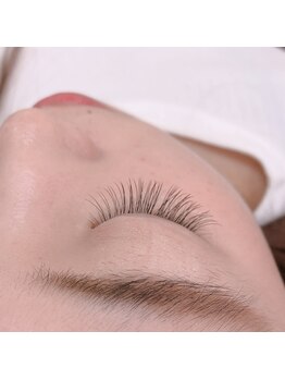 レヴィア(Levia)/シングルラッシュ 120本