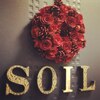 ソイル(soil)のお店ロゴ