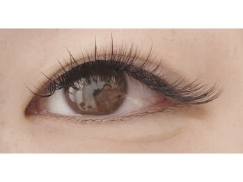 プリンプアイラッシュ(PRIMp.Eyelash)/ボリューム×フラット