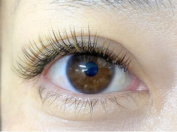 ミニョンアイラッシュデザインサロン くずは店/フラットマットラッシュ カラー