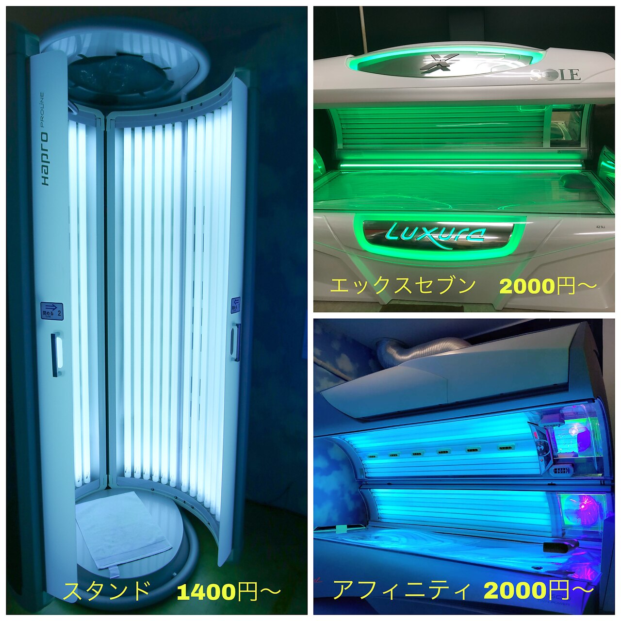 ココナッツスタジアム ギャラリー 5