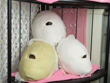 韓国人気石膏パック【美白/ハリツヤ/毛穴/フェイシャル/小顔】