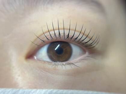 織葉(ORIHA)の写真