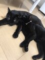 ラティアム 鈴鹿店(LaTiam) 黒ネコを２匹飼っています(*^^*)