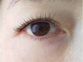 シーア ボーテ アイラッシュ(THEA beaute eyelash)/ラッシュリフト後のマツエク