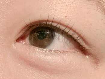 レミア 関内(REMIA)/2月 パリジェンヌラッシュリフト