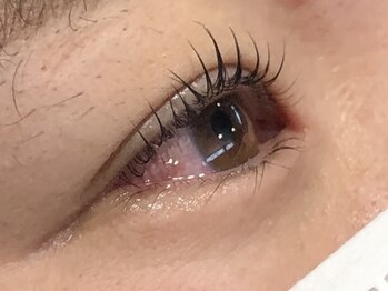 ピクシーボブ(Pixie Bob)/★根本から毛先までカール